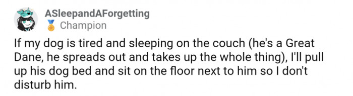 5. Sleeping Great Dane gets to keep the couch