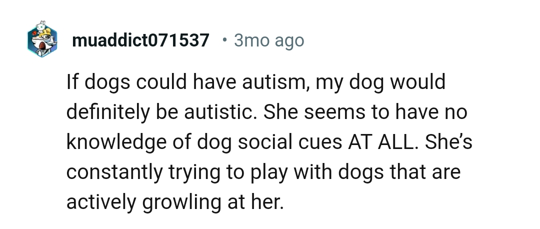 12. Dog's social cues