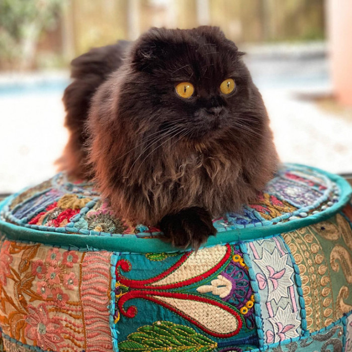 “And to think I used to live on the streets.”