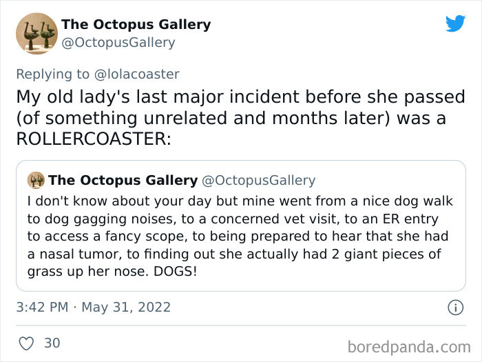 17. Rest in peace, such an adventurous darling