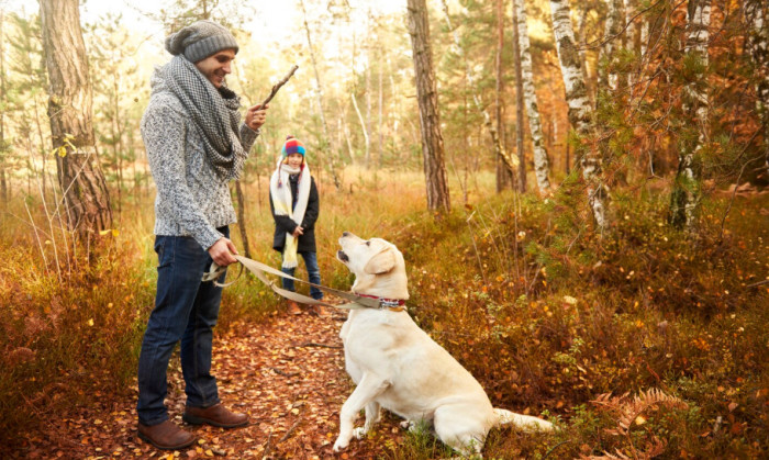 Female Hunting Dog Names