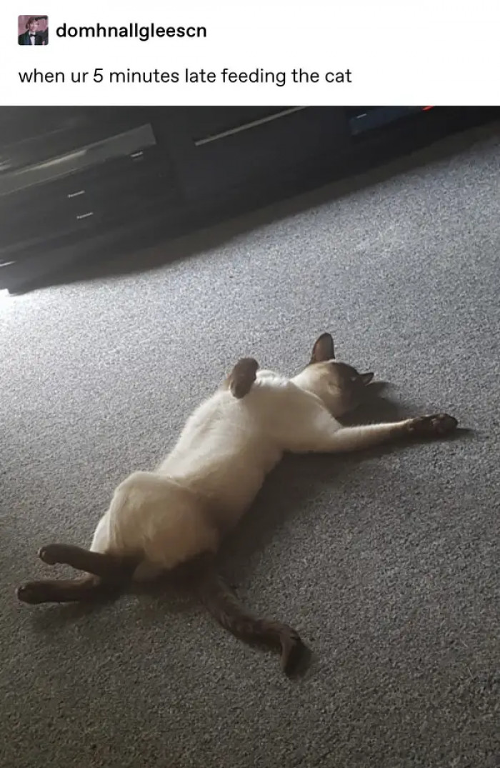 5. Then you're gonna get some drama