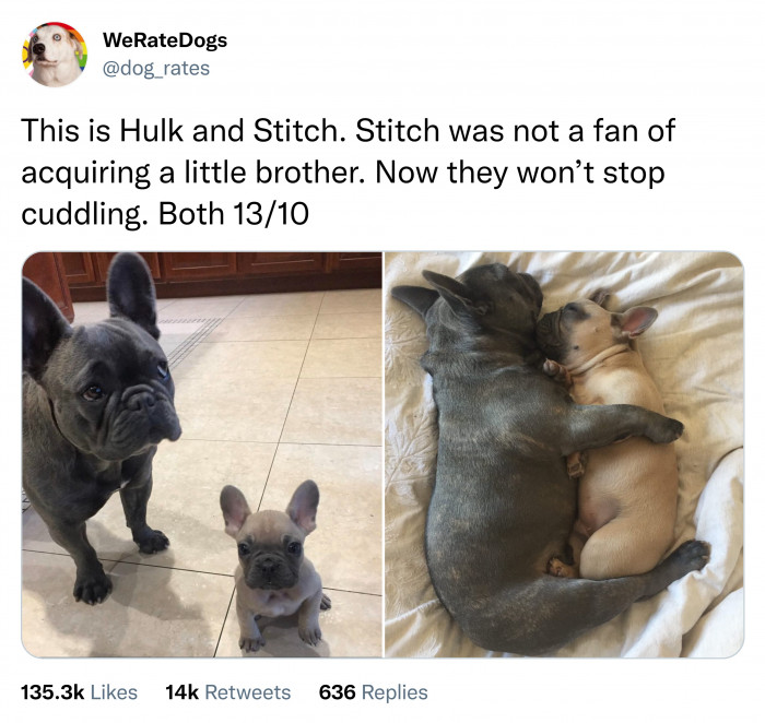 9. He Initially Disapproved, but Now They Are Inseparable.