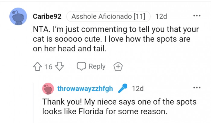 This Redditor is one great admirer of the cat