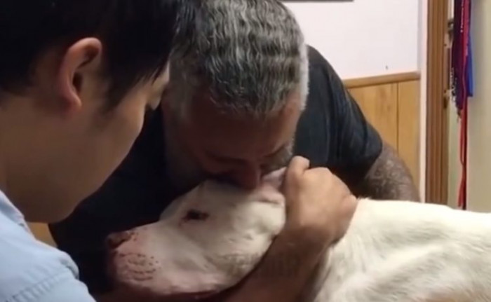The video has touched a lot of hearts in the Internet world. It's accompanied with an emotional background music, and the man completely breaks down over his dog's already helpless body.
