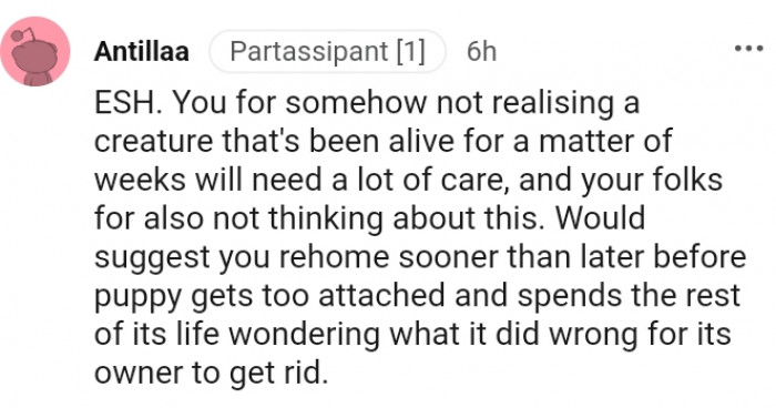 5. This Redditor is Suggesting That the Pup Be Rehomed
