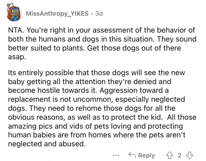 "They need to rehome those dogs."