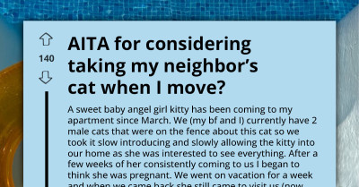 Stray Cat Chooses New Family, But Her Original Owner Isn’t Ready To Let Go