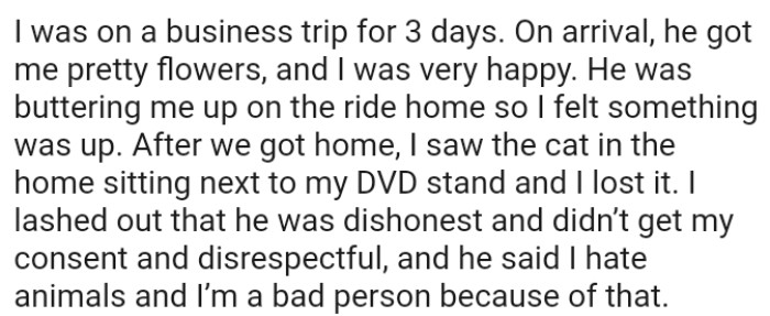 The OP saw the cat in her home sitting next to her DVD stand, and she lost it