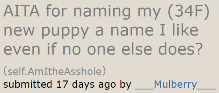 The OP Asks the AITA Community: