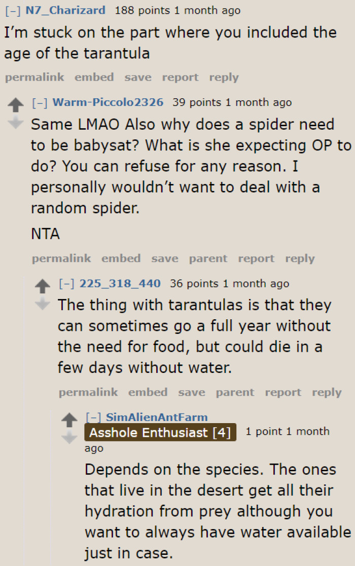 Some users shared their knowledge about tarantulas.