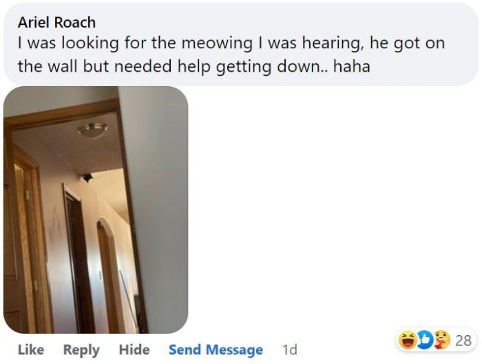 12. We’ve got just one question: how did he get there?