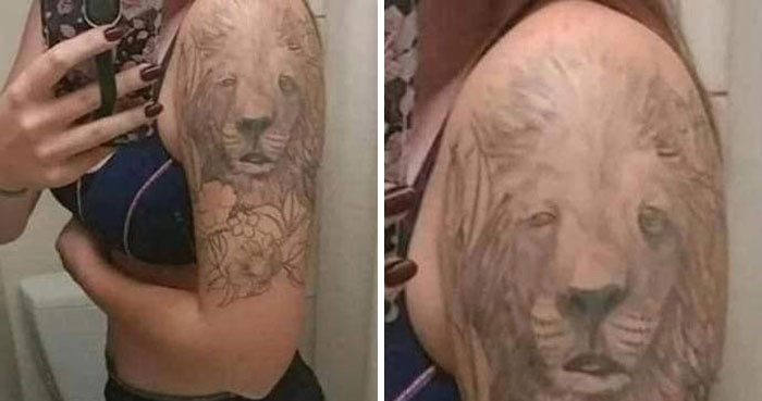 2. The lion looks worn out