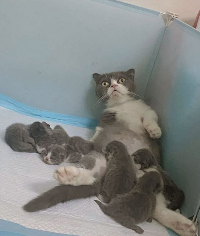 23. "Get Me Out of Here"