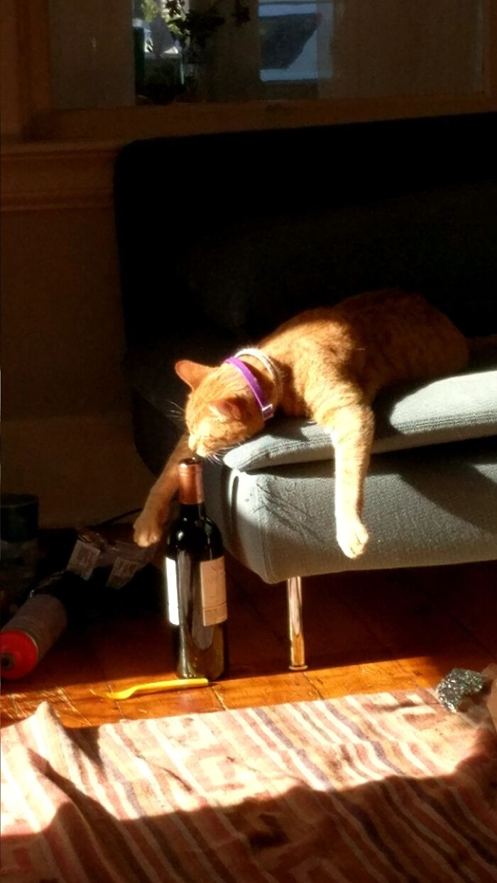 33. Lost In The Sauce