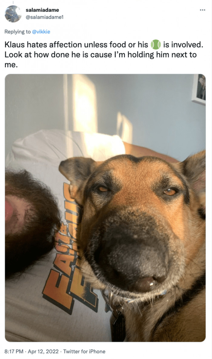 17. Look how done this dog is when holding him