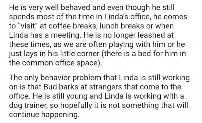 The only behavior problem is that...