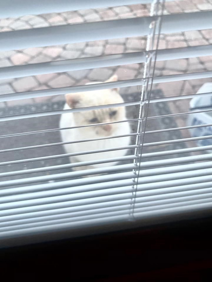 2. Now, Ted doesn't have to stand outside and wait anymore.