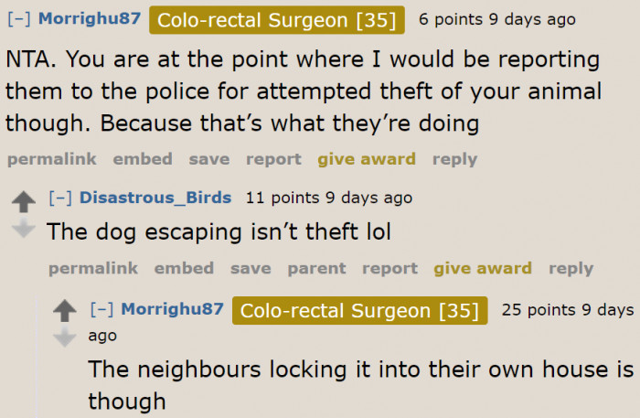 A user believes the neighbors are stealing the dog.