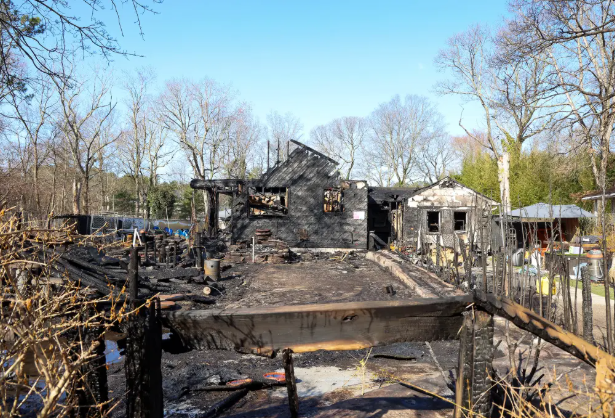 Suffolk County SPCA leads fire investigation, rescue groups coordinate medical care for surviving cats.