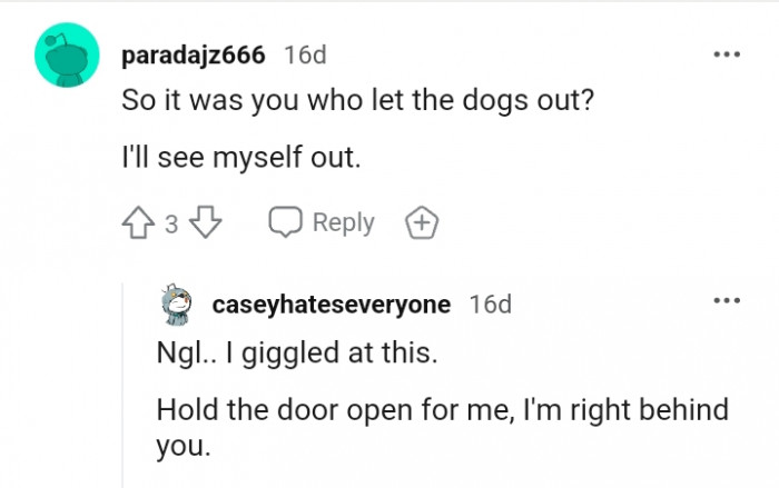 Who let the dogs out?