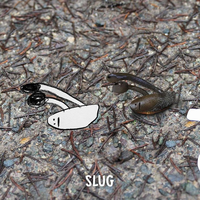 2. Have you ever seen a broken slug before?