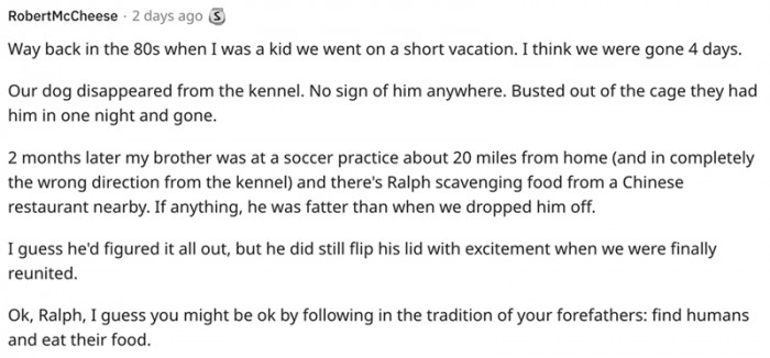 This dog might be okay by following the tradition of his forefathers.