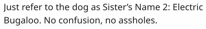 4. She should add "2" to the dog's name.