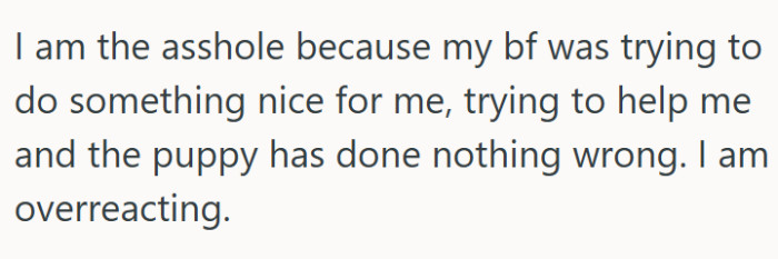OP has offered the following explanation for why they think they might be the asshole: