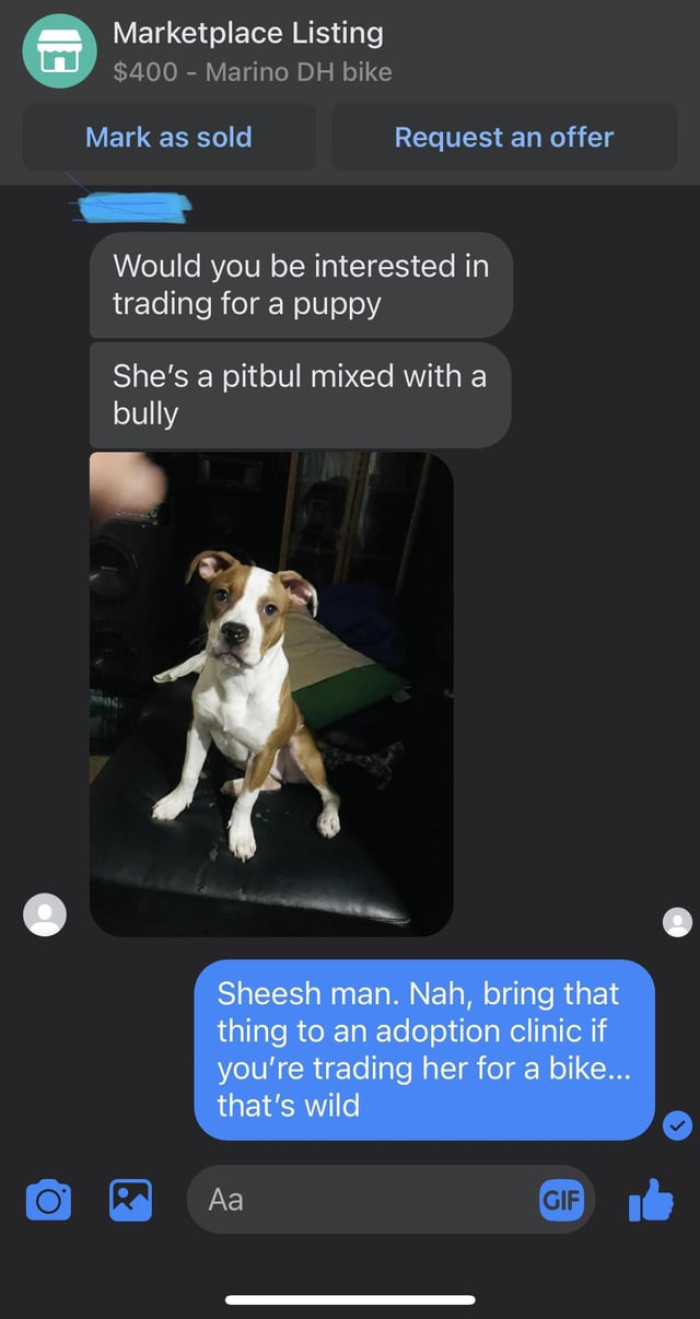 And here is the screenshot of their chat