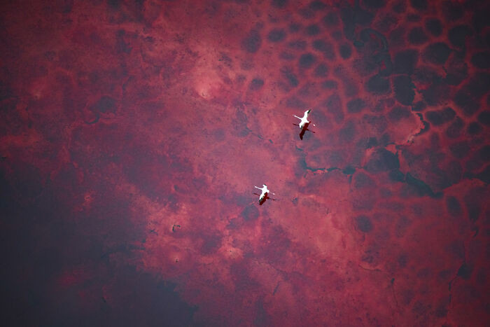 Winner, Rising Talent: Silke Hullman, Germany