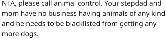 13. Her stepfather and mom shouldn't be allowed to raise animals.