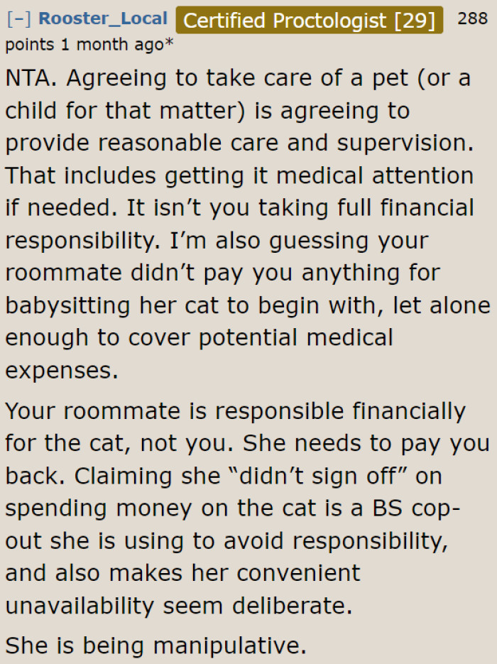 This roommate is an irresponsible cat owner. And manipulative, at that.