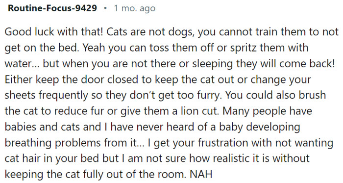 Cats are not like dogs and cannot be trained.