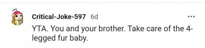 Take care of the fur baby