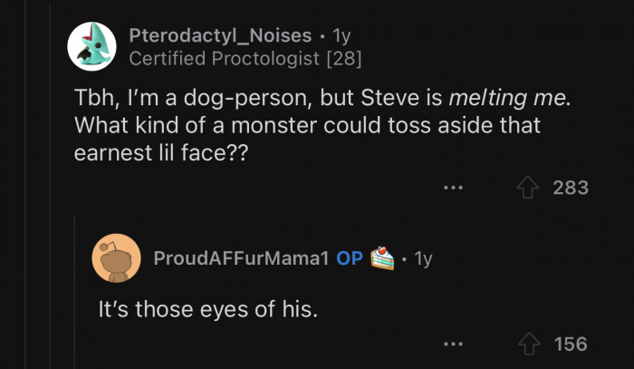 Stevie is absolutely adorable. How could anyone treat him like that?