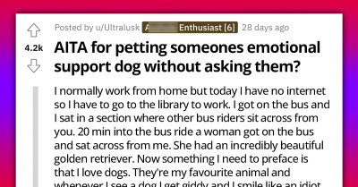 Reddit User Accidentally Ignites Firestorm After Petting A Stranger's Emotional Support Dog