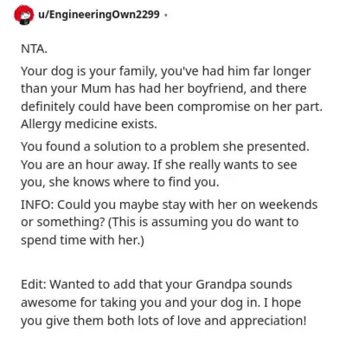 The fiancé should have considered a compromise if he wants to make things work with his fiancée's son.