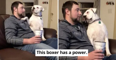 16 TikTokers Show How Super Attached Their Cute Pets Are To Them By Demonstrating Their Clinginess