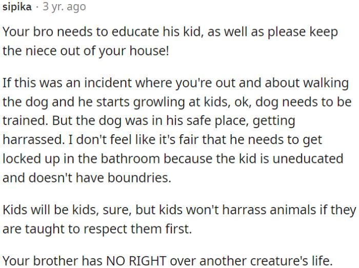 OP's brother should educate his child about respecting animals.