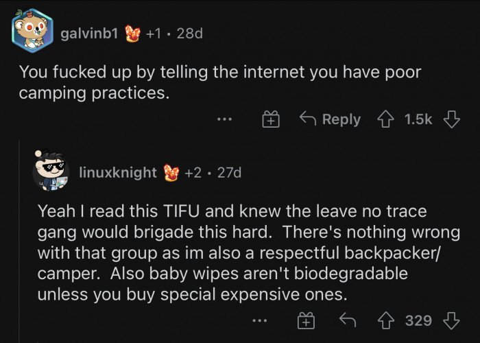 It's important to be a respectful camper.