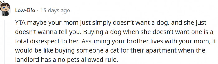 Maybe their mom simply doesn't want a dog.