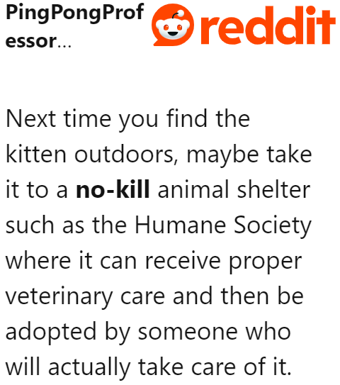 A concerned user advised the OP that instead of returning the cat to the neighbor, he should surrender it to a no-kill shelter.