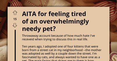 When ‘Fur-ever’ Feels Overwhelming: Redditor Considers Rehoming Their Clingy Cat, And Reddit Has Big Feelings About It
