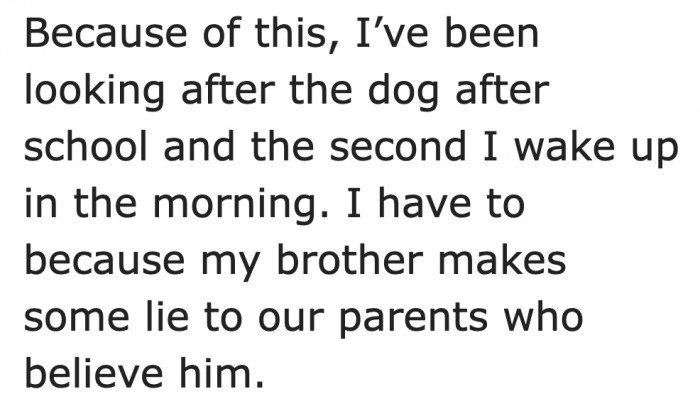 She took all of the responsibility because of her brother's laziness.