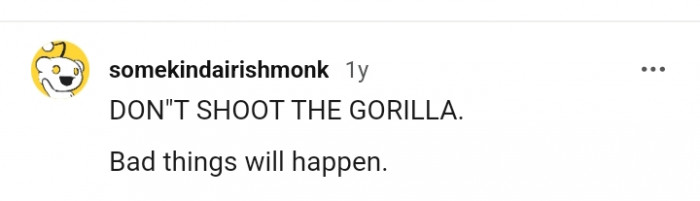 Do Not Shoot The Gorilla