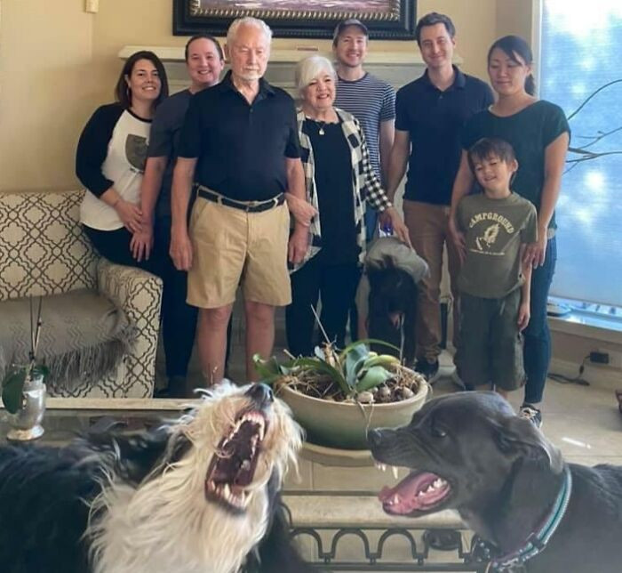 21. The goal was a perfect family picture; the result was hilarious