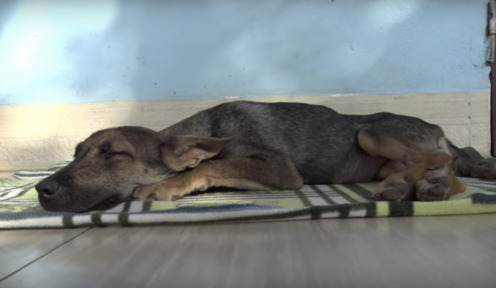 That soft blanket she was given worked miracles