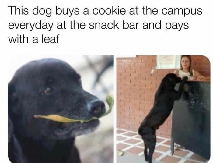 20. Paying for a service is very important