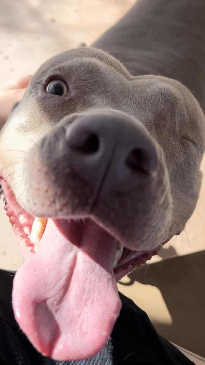 37. I Met This One Eye Queen At The Park Today And She Is Just A Literal Angel